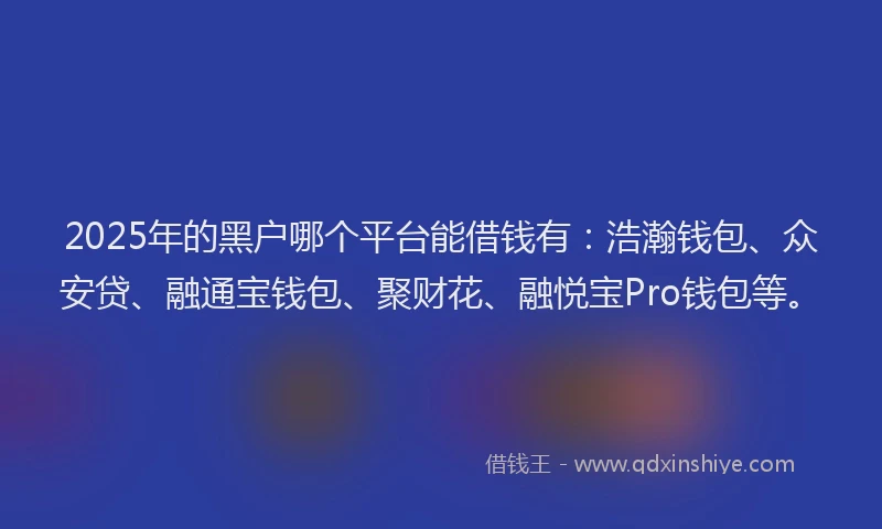 2025年的黑户哪个平台能借钱有：浩瀚钱包、众安贷、融通宝钱包、聚财花、融悦宝Pro钱包等。