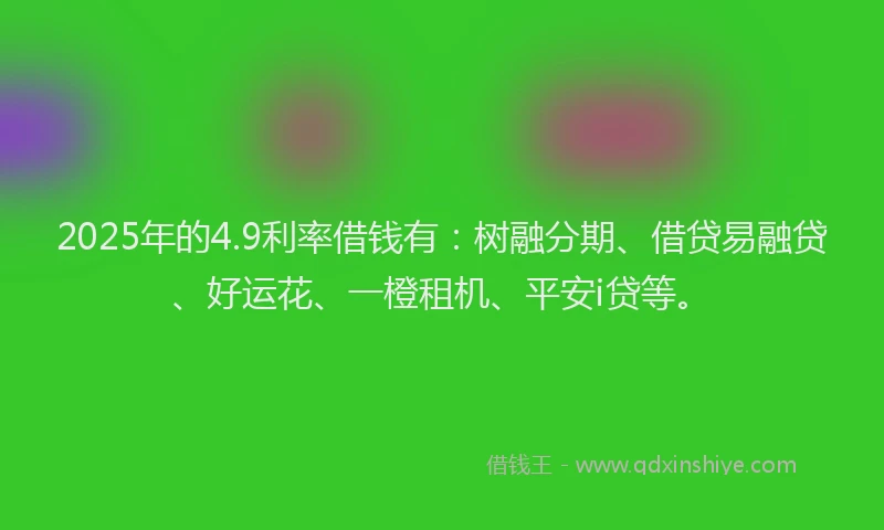 2025年的4.9利率借钱有：树融分期、借贷易融贷、好运花、一橙租机、平安i贷等。