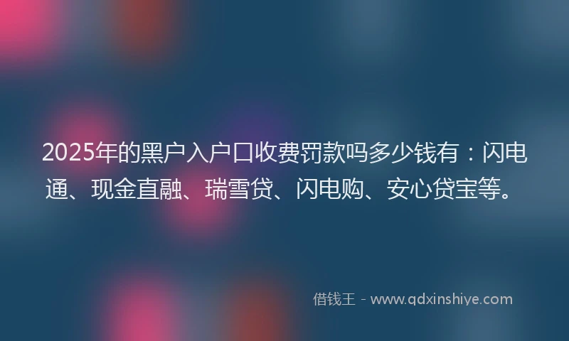 2025年的黑户入户口收费罚款吗多少钱有：闪电通、现金直融、瑞雪贷、闪电购、安心贷宝等。