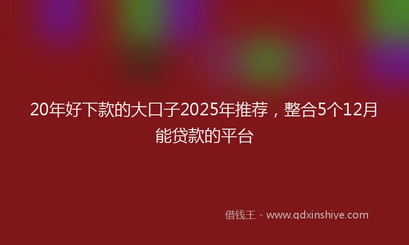 20年好下款的大口子2025年推荐，整合5个12月能贷款的平台