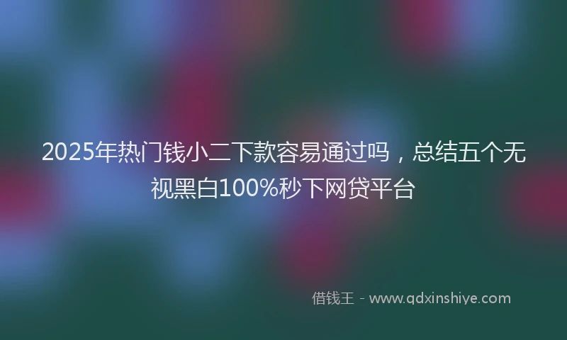 2025年热门钱小二下款容易通过吗，总结五个无视黑白100%秒下网贷平台