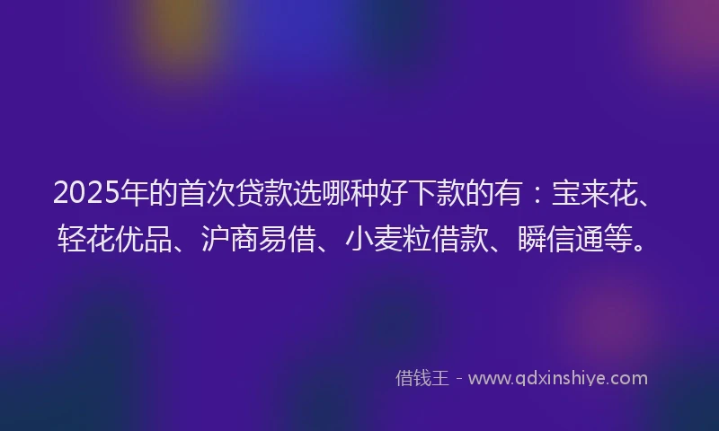 2025年的首次贷款选哪种好下款的有：宝来花、轻花优品、沪商易借、小麦粒借款、瞬信通等。