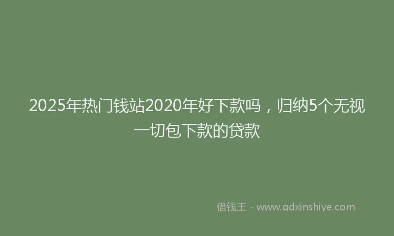 2025年热门钱站2020年好下款吗，归纳5个无视一切包下款的贷款