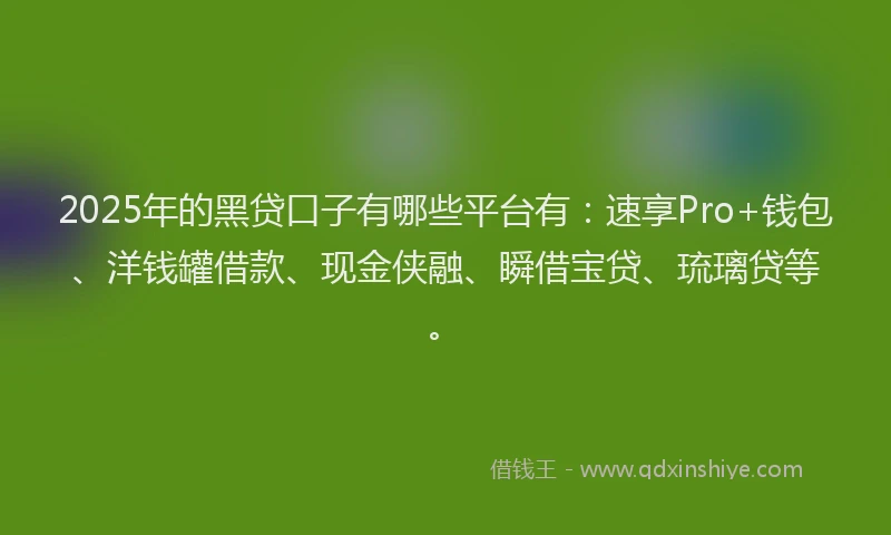 2025年的黑贷口子有哪些平台有：速享Pro+钱包、洋钱罐借款、现金侠融、瞬借宝贷、琉璃贷等。