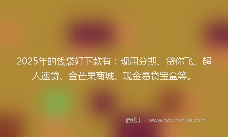 2025年的钱袋好下款有：现用分期、贷你飞、超人速贷、金芒果商城、现金易贷宝盒等。