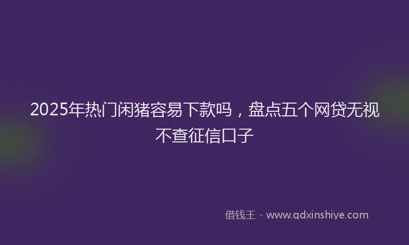 2025年热门闲猪容易下款吗，盘点五个网贷无视不查征信口子