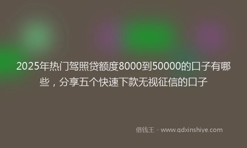 2025年热门驾照贷额度8000到50000的口子有哪些，分享五个快速下款无视征信的口子