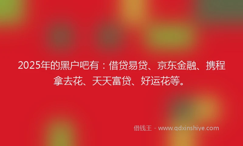 2025年的黑户吧有：借贷易贷、京东金融、携程拿去花、天天富贷、好运花等。