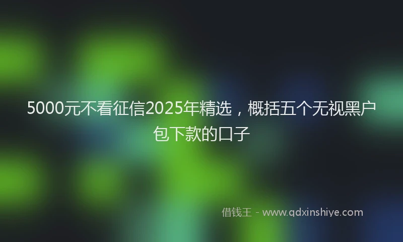 5000元不看征信2025年精选，概括五个无视黑户包下款的口子