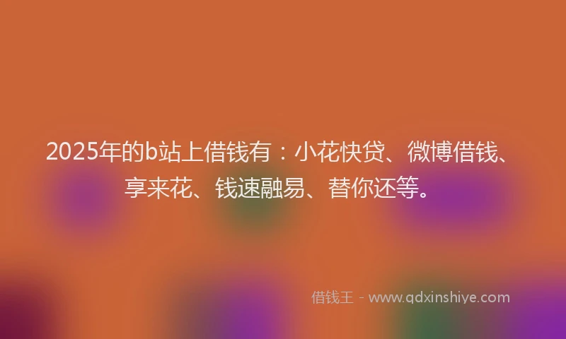 2025年的b站上借钱有：小花快贷、微博借钱、享来花、钱速融易、替你还等。