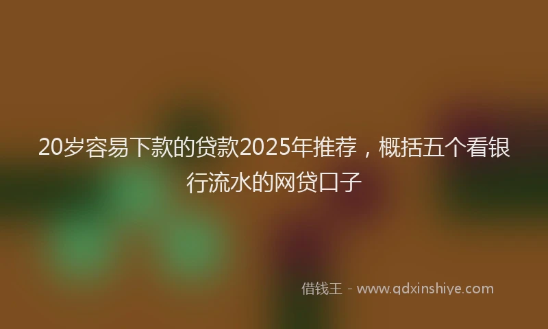 20岁容易下款的贷款2025年推荐，概括五个看银行流水的网贷口子