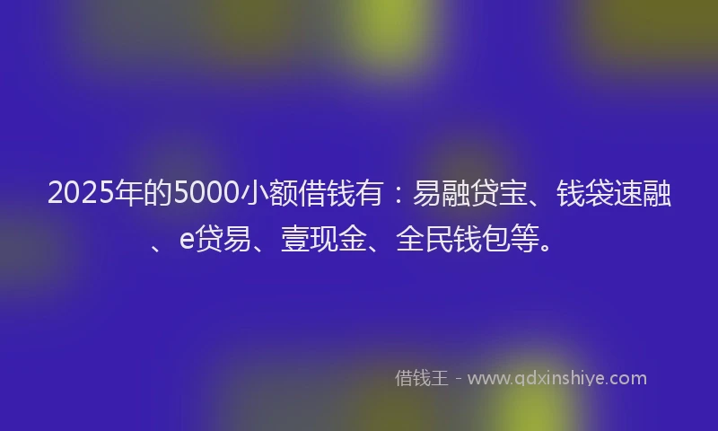 2025年的5000小额借钱有：易融贷宝、钱袋速融、e贷易、壹现金、全民钱包等。