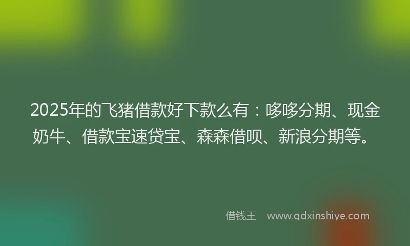 2025年的飞猪借款好下款么有：哆哆分期、现金奶牛、借款宝速贷宝、森森借呗、新浪分期等。