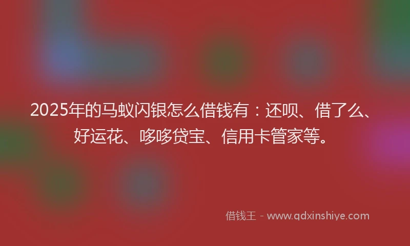 2025年的马蚁闪银怎么借钱有：还呗、借了么、好运花、哆哆贷宝、信用卡管家等。