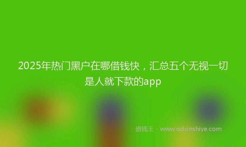 2025年热门黑户在哪借钱快，汇总五个无视一切是人就下款的app