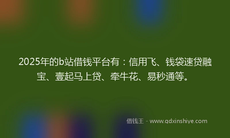 2025年的b站借钱平台有：信用飞、钱袋速贷融宝、壹起马上贷、牵牛花、易秒通等。