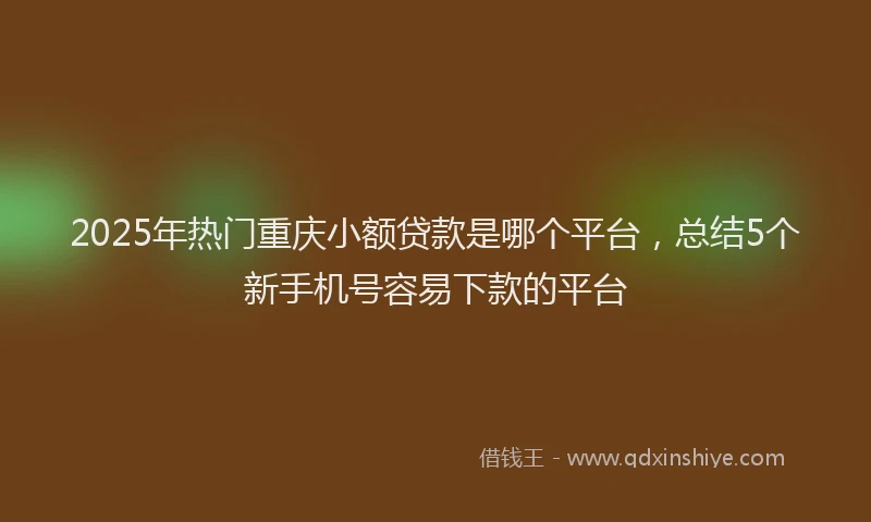 2025年热门重庆小额贷款是哪个平台，总结5个新手机号容易下款的平台