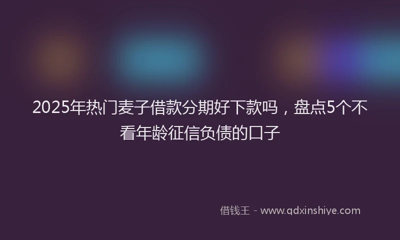 2025年热门麦子借款分期好下款吗，盘点5个不看年龄征信负债的口子