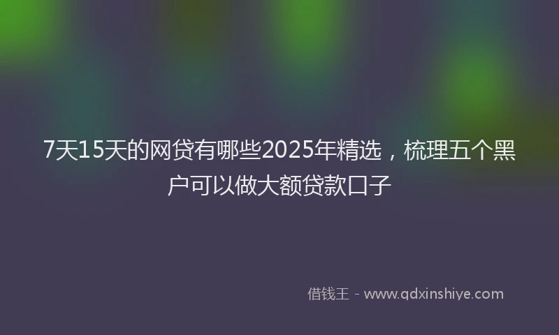 7天15天的网贷有哪些2025年精选，梳理五个黑户可以做大额贷款口子