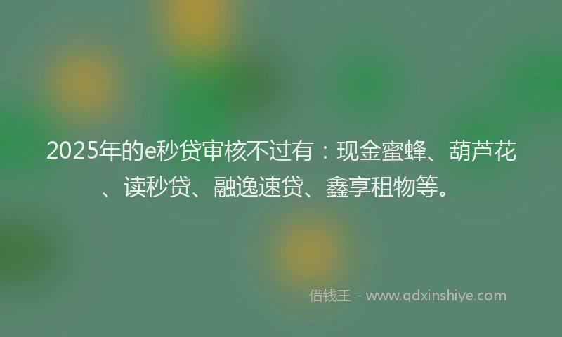 2025年的e秒贷审核不过有：现金蜜蜂、葫芦花、读秒贷、融逸速贷、鑫享租物等。