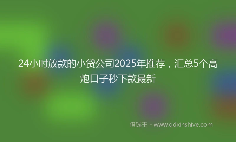 24小时放款的小贷公司2025年推荐，汇总5个高炮口子秒下款最新