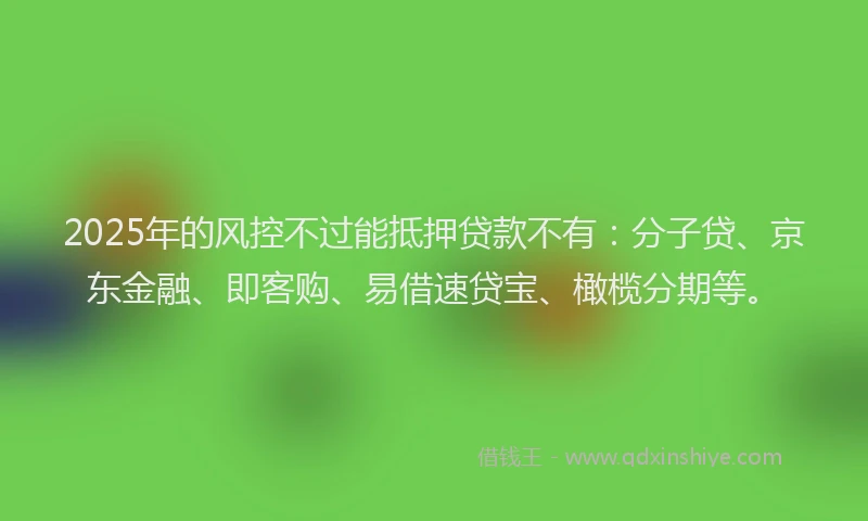 2025年的风控不过能抵押贷款不有:分子贷、京东金融、即客购、易借速贷宝、橄榄分期等。