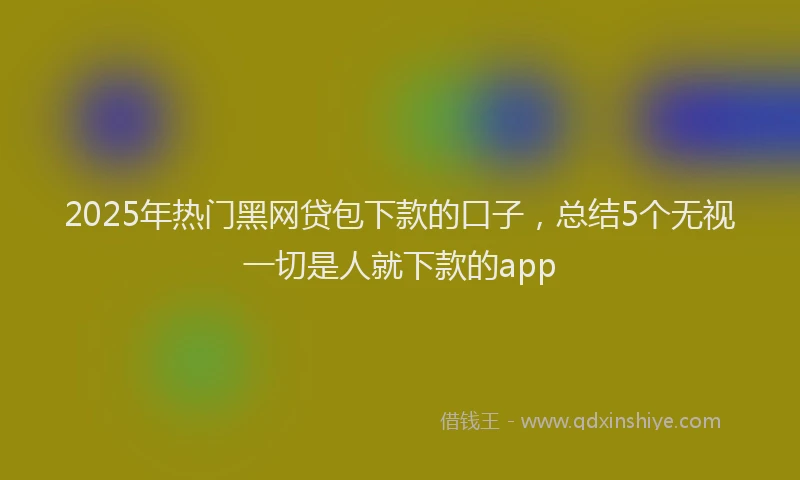 2025年热门黑网贷包下款的口子，总结5个无视一切是人就下款的app