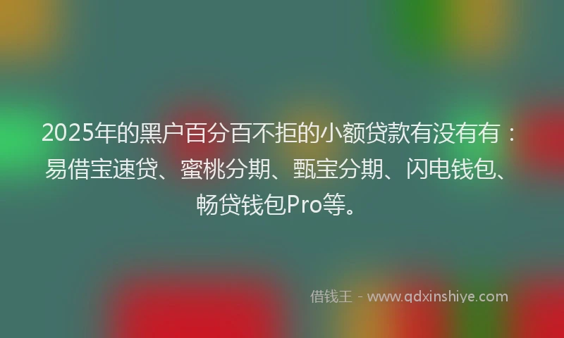 2025年的黑户百分百不拒的小额贷款有没有有：易借宝速贷、蜜桃分期、甄宝分期、闪电钱包、畅贷钱包Pro等。