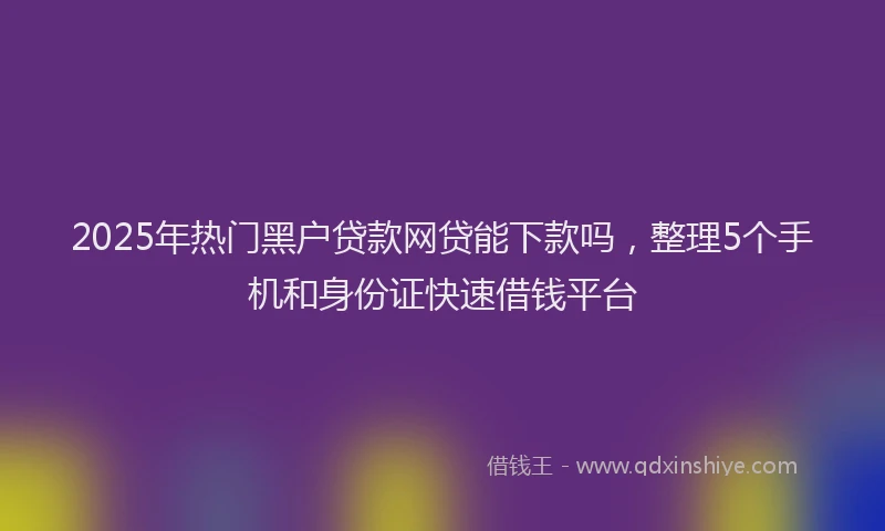 2025年热门黑户贷款网贷能下款吗，整理5个手机和身份证快速借钱平台