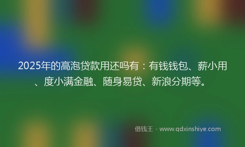2025年的高泡贷款用还吗有：有钱钱包、薪小用、度小满金融、随身易贷、新浪分期等。