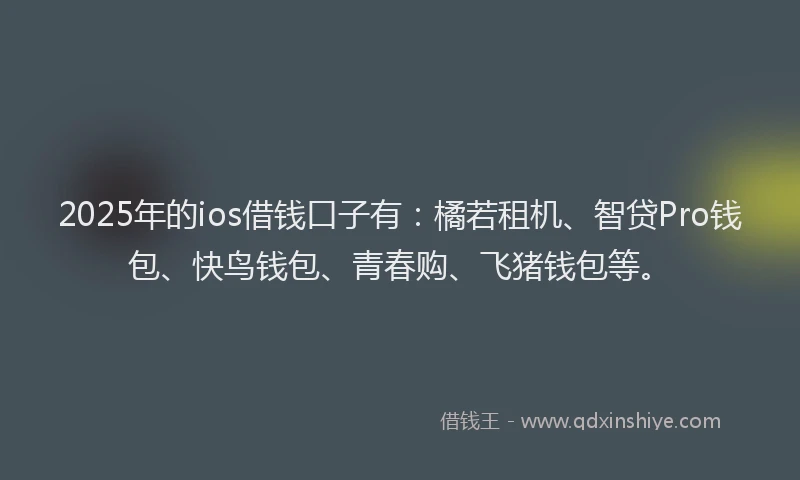 2025年的ios借钱口子有：橘若租机、智贷Pro钱包、快鸟钱包、青春购、飞猪钱包等。