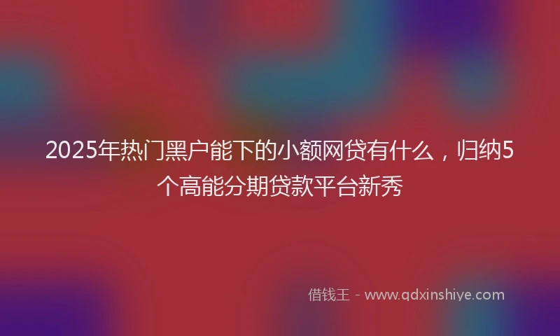 2025年热门黑户能下的小额网贷有什么，归纳5个高能分期贷款平台新秀