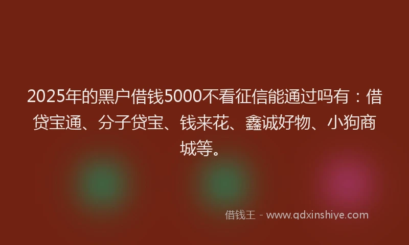 2025年的黑户借钱5000不看征信能通过吗有：借贷宝通、分子贷宝、钱来花、鑫诚好物、小狗商城等。