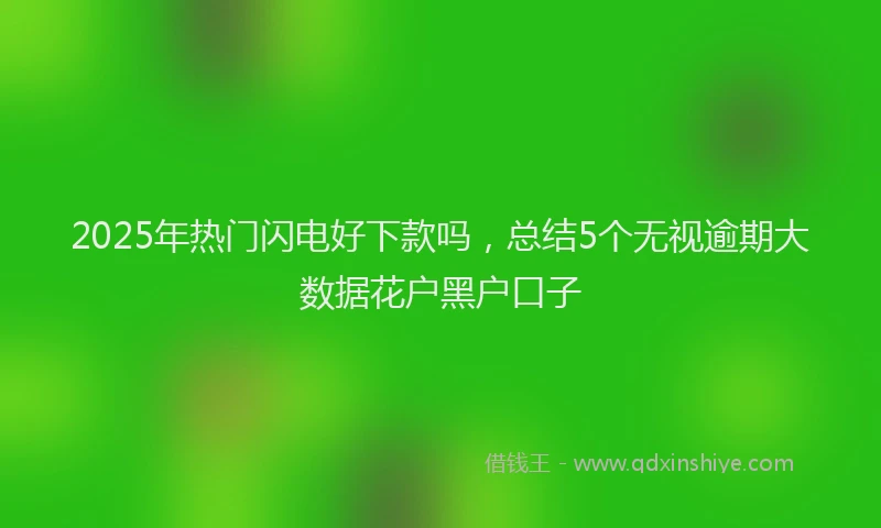2025年热门闪电好下款吗，总结5个无视逾期大数据花户黑户口子