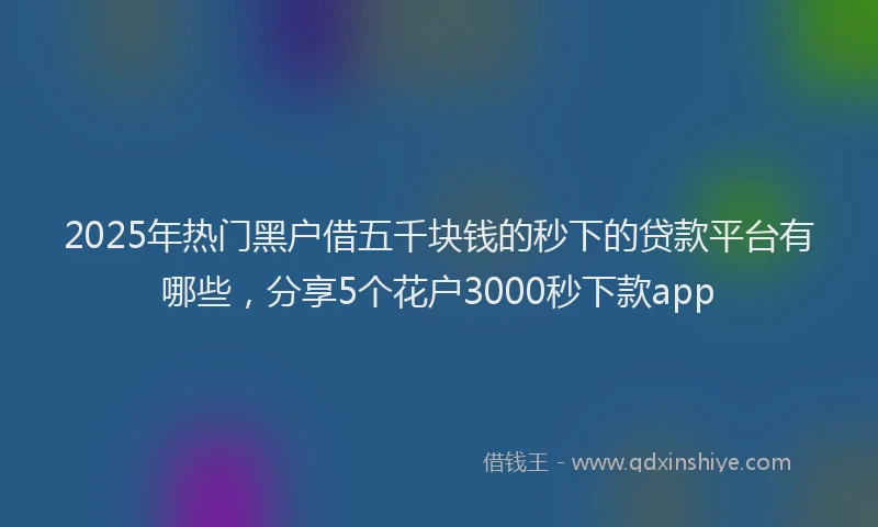 2025年热门黑户借五千块钱的秒下的贷款平台有哪些，分享5个花户3000秒下款app