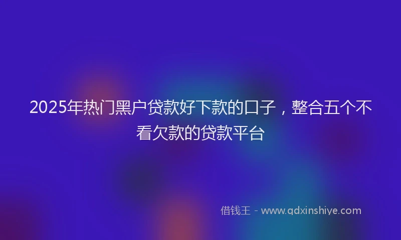 2025年热门黑户贷款好下款的口子，整合五个不看欠款的贷款平台