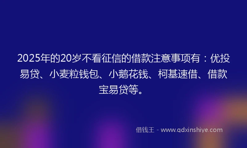 2025年的20岁不看征信的借款注意事项有:优投易贷、小麦粒钱包、小鹅花钱、柯基速借、借款宝易贷等。