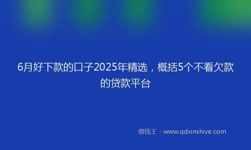 6月好下款的口子2025年精选，概括5个不看欠款的贷款平台