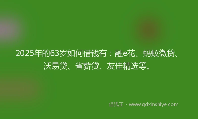 2025年的63岁如何借钱有：融e花、蚂蚁微贷、沃易贷、省薪贷、友佳精选等。