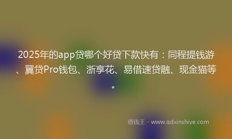 2025年的app贷哪个好贷下款快有:同程提钱游、翼贷Pro钱包、浙享花、易借速贷融、现金猫等。