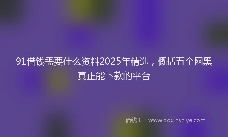 91借钱需要什么资料2025年精选，概括五个网黑真正能下款的平台