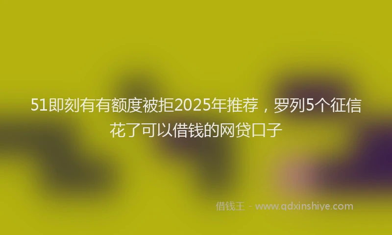 51即刻有有额度被拒2025年推荐，罗列5个征信花了可以借钱的网贷口子
