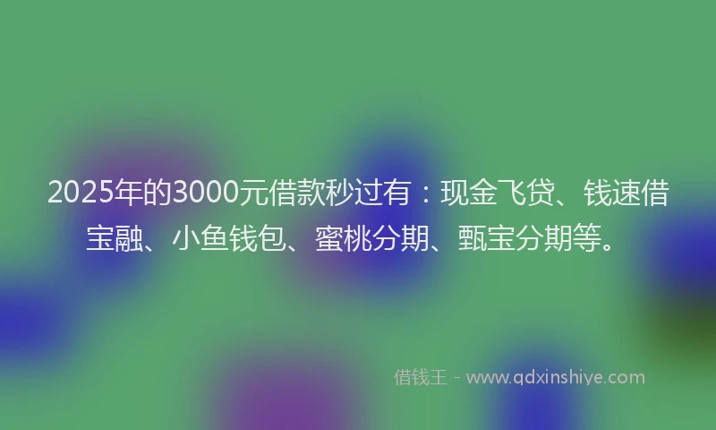 2025年的3000元借款秒过有：现金飞贷、钱速借宝融、小鱼钱包、蜜桃分期、甄宝分期等。