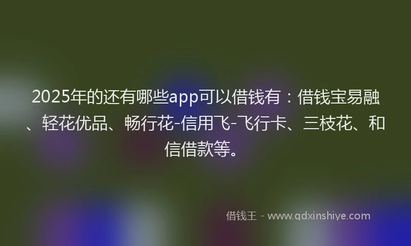 2025年的还有哪些app可以借钱有：借钱宝易融、轻花优品、畅行花-信用飞-飞行卡、三枝花、和信借款等。