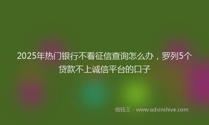 2025年热门银行不看征信查询怎么办，罗列5个贷款不上诚信平台的口子