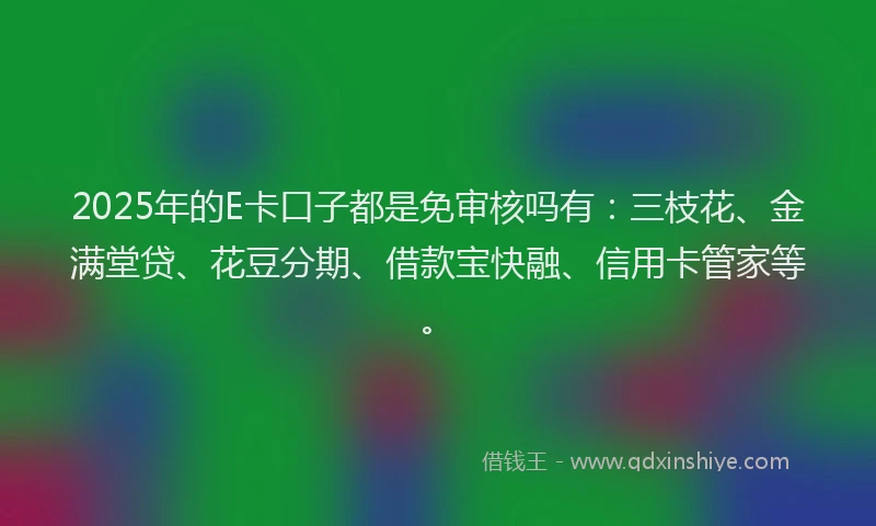 2025年的E卡口子都是免审核吗有：三枝花、金满堂贷、花豆分期、借款宝快融、信用卡管家等。