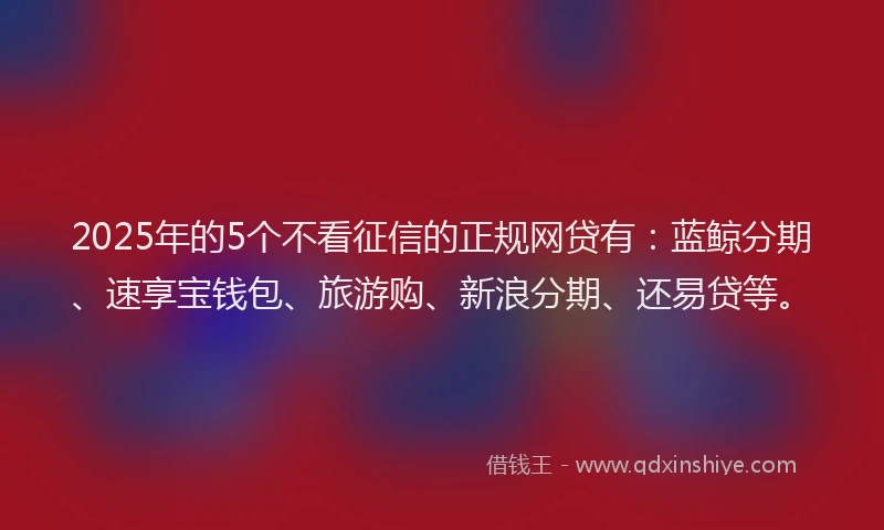 2025年的5个不看征信的正规网贷有：蓝鲸分期、速享宝钱包、旅游购、新浪分期、还易贷等。