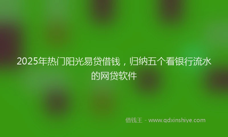 2025年热门阳光易贷借钱，归纳五个看银行流水的网贷软件