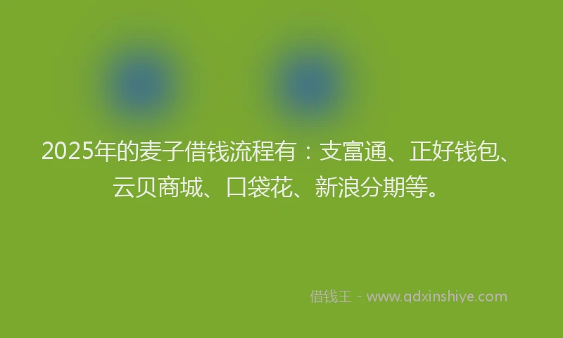 2025年的麦子借钱流程有：支富通、正好钱包、云贝商城、口袋花、新浪分期等。