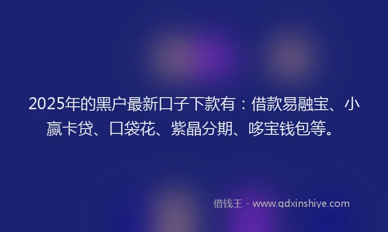 2025年的黑户最新口子下款有:借款易融宝、小赢卡贷、口袋花、紫晶分期、哆宝钱包等。